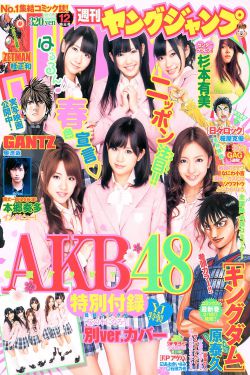 宫廷の诤い女衍生小说